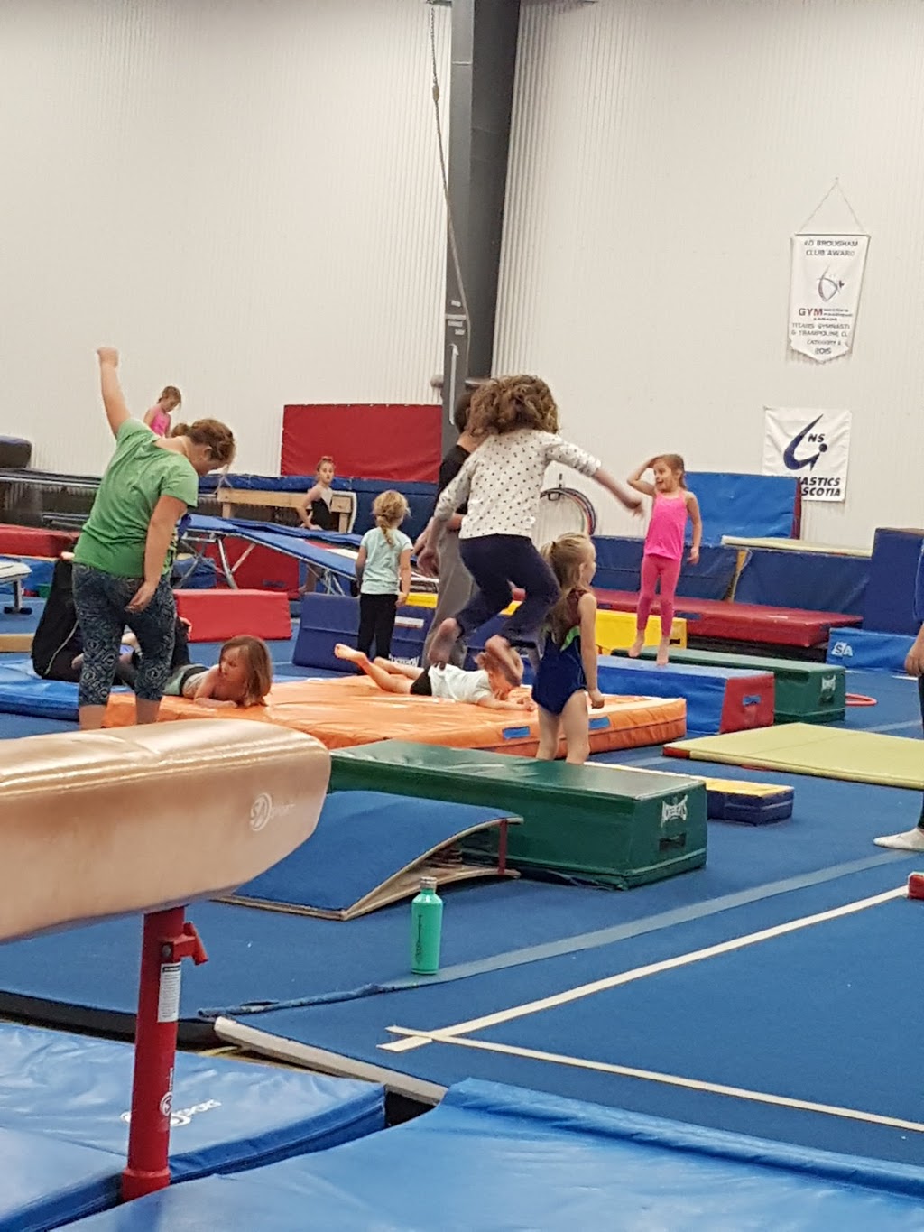 Titans Gymnastic & Trampoline Club | 40 Broom Rd, Westphal, NS B2W 6J6, Canada | Phone: (902) 466-5470