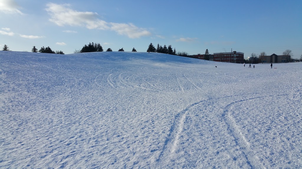 Centennial Park Tobogganing Hill | Centennial Park, Toronto, ON M9C 5K6, Canada