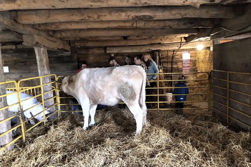 Bry-Anne Farms | 471 Foss Rd, Fenwick, ON L0S 1C0, Canada | Phone: (905) 892-8999