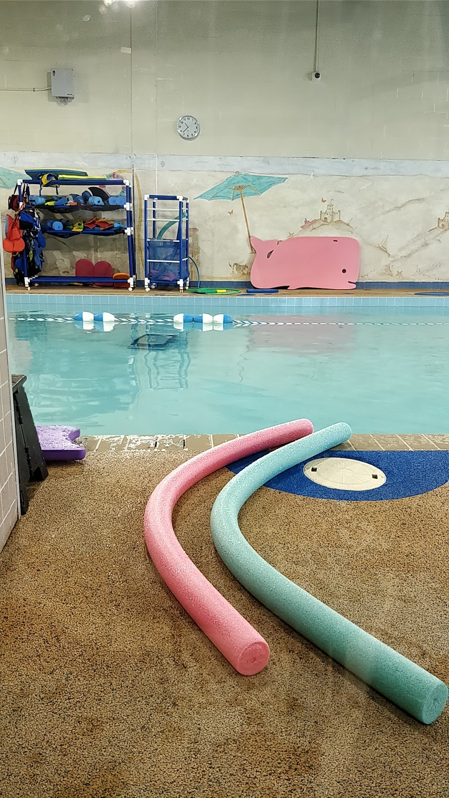 Swim Time Thornhill | 385 John St, Thornhill, ON L3T 5W5, Canada | Phone: (905) 707-9495