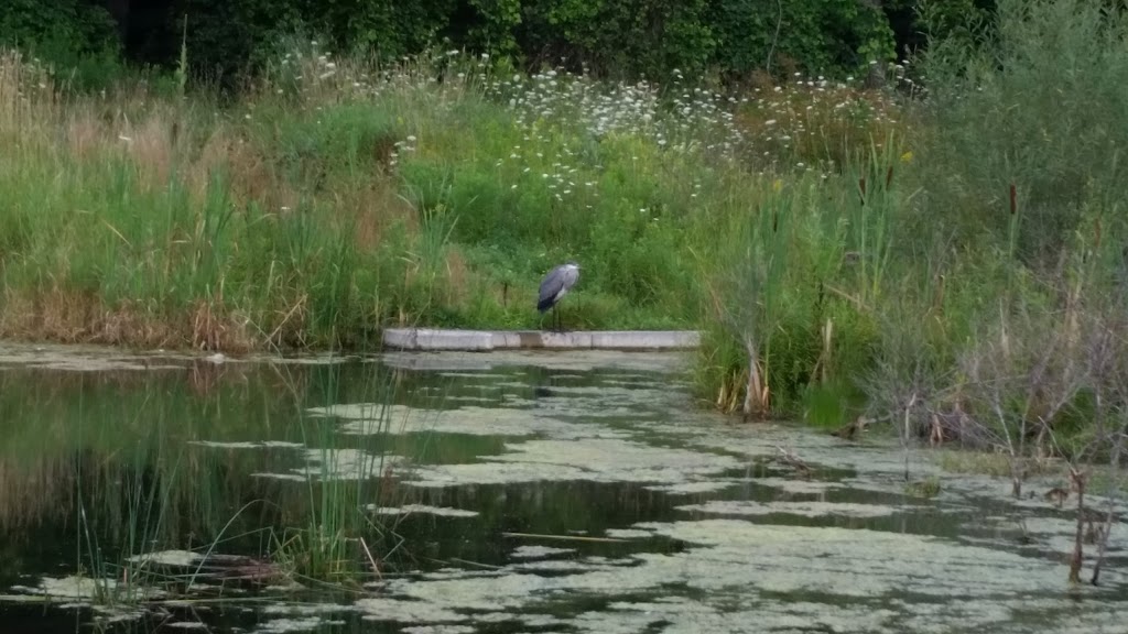 Sandringham Park | Barrie, ON L4N 0Y9, Canada