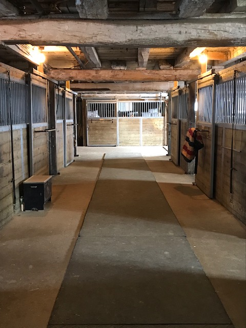 Mahogany Bay Stables | 1072 Concession 11 Townsend, Waterford, ON N0E 1Y0, Canada | Phone: (519) 410-1629