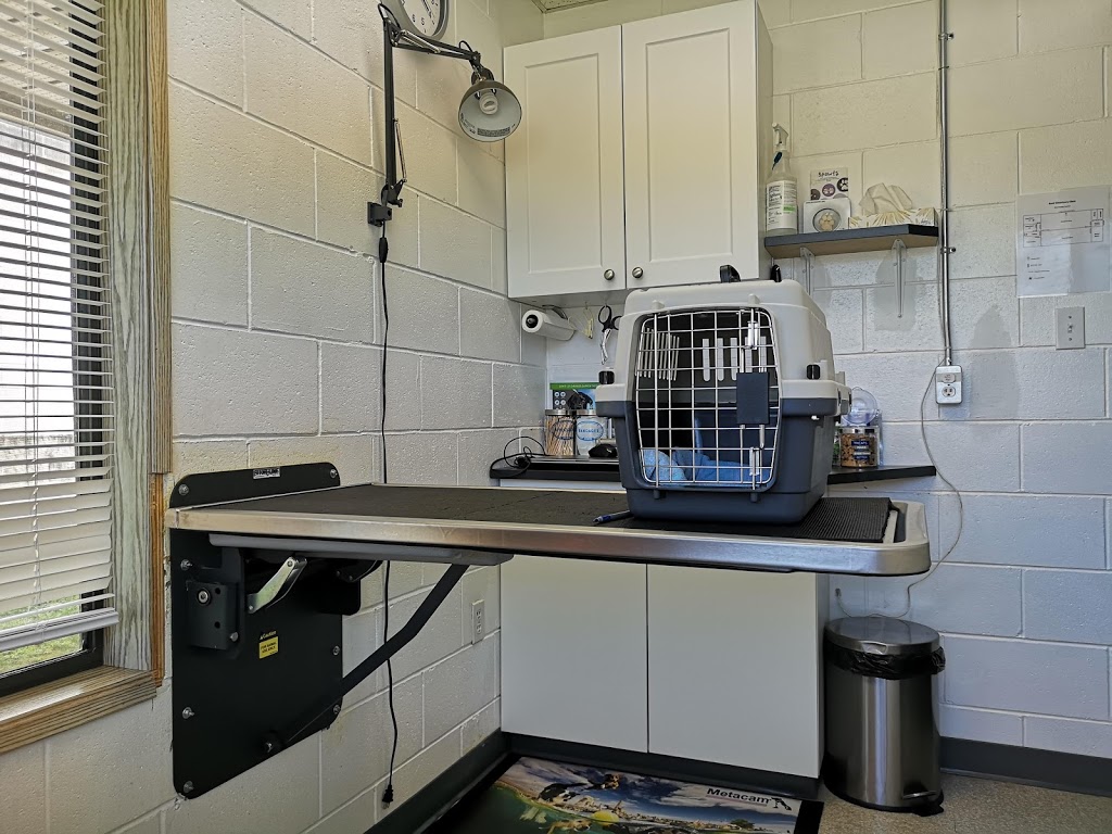 Kent Veterinary Clinic | 6948 Pioneer Ave, Agassiz, BC V0M 1A2, Canada | Phone: (604) 796-9401