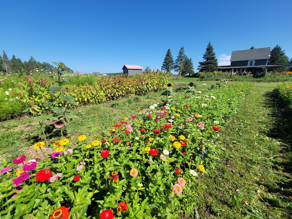 Happy Acres Farm Muskoka | Town of, Utterson, ON P0B 1M0, Canada | Phone: (705) 230-4234