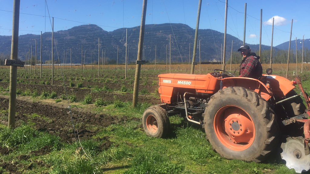 Bredenhof Hop Farms | 4109 Boundary Rd, Abbotsford, BC V3G 2N3, Canada | Phone: (604) 302-4954