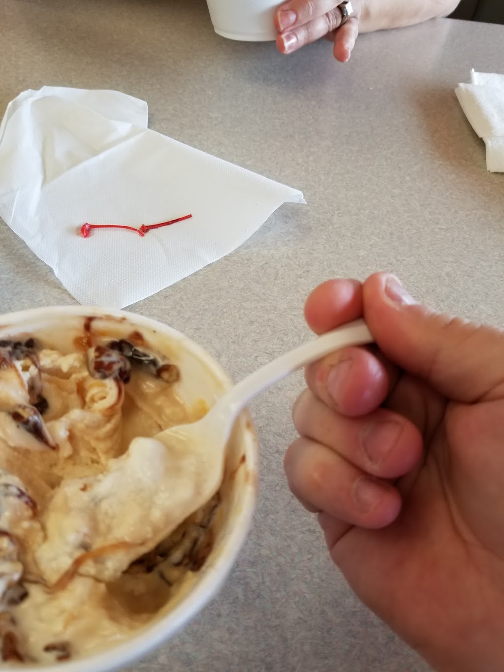 Jamies Ice Cream | 1401 Nash Rd, North Tonawanda, NY 14120, USA | Phone: (716) 693-6605