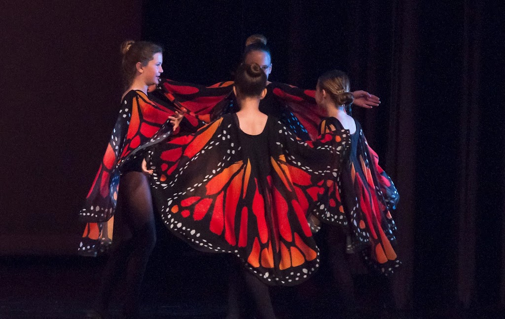 Day-to-Day Dance | 1733 H St STE 410, Blaine, WA 98230, USA | Phone: (360) 920-2964