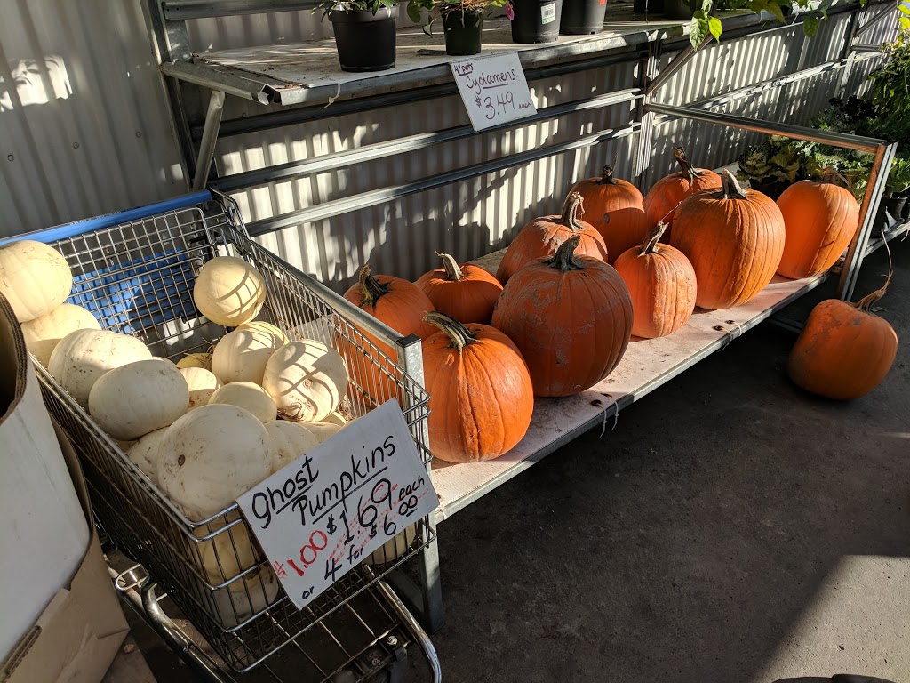 Hop On Farms | 5624 Marine Dr, Burnaby, BC V5J 3G8, Canada | Phone: (604) 433-9850