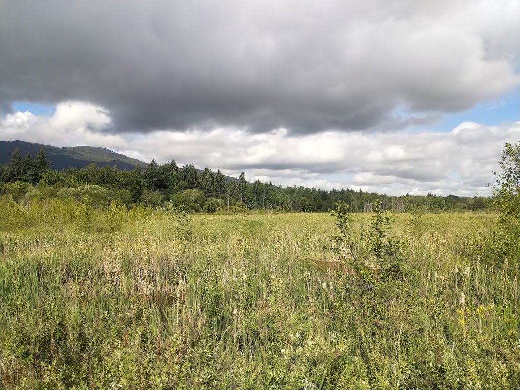 Buttertubs Marsh Park | 197 Bird Sanctuary Dr, Nanaimo, BC V9R 6G8, Canada | Phone: (250) 754-4251