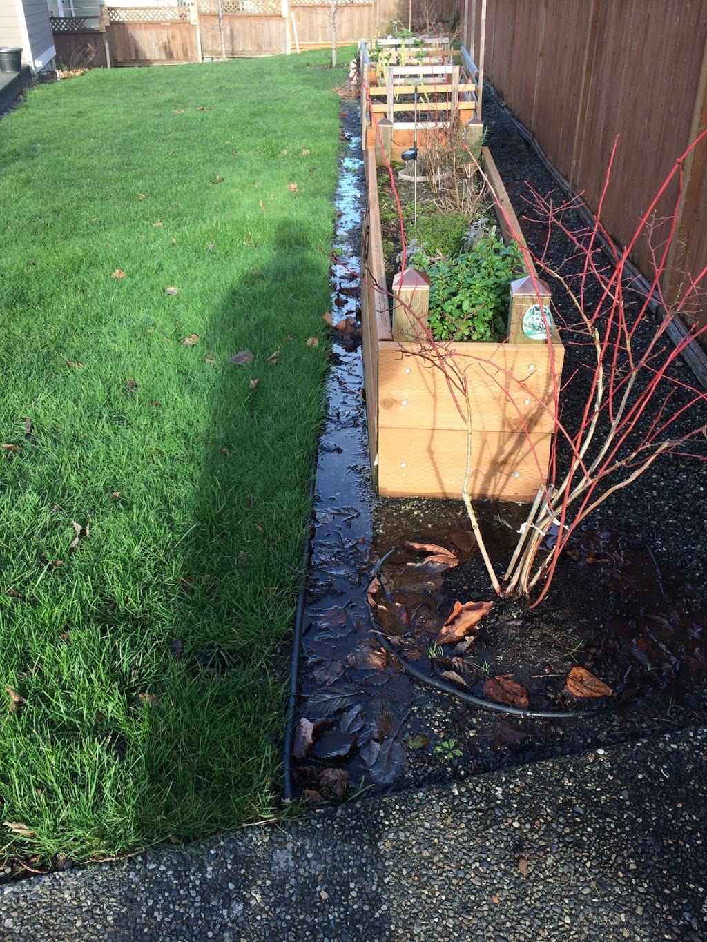 Best Rooter Services | Bellingham, WA 98229, USA | Phone: (360) 354-9981