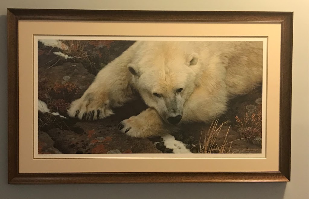 SURROUNDING MEMORIES custom picture framing, gallery & giftshop | 77 Bridge St, Carleton Place, ON K7C 2V4, Canada | Phone: (613) 257-1301