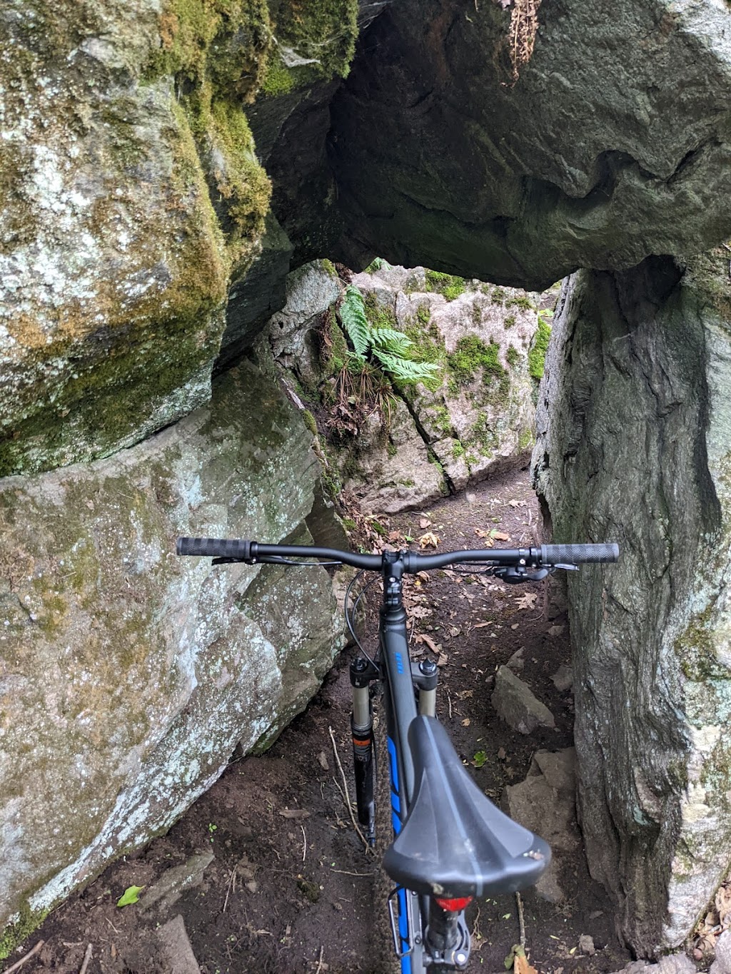 Montebello Mountain Bike | 392 Rue Notre Dame, Montebello, QC J0V 1L0, Canada | Phone: (819) 213-3616