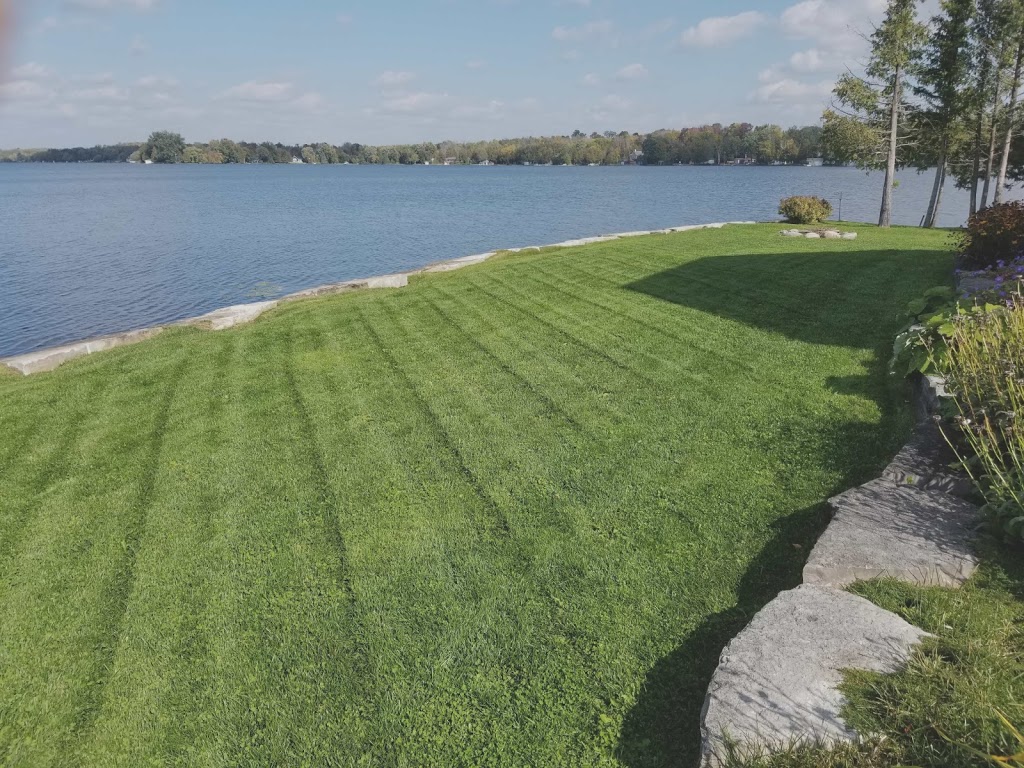 Brads Property Care | 20 Murdoch Ct, Lindsay, ON K9V 6L4, Canada | Phone: (705) 879-9276
