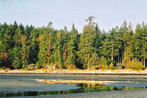 The Alders Beach Resort | 179 Williams Beach Rd, Merville, BC V0R 2M0, Canada | Phone: (250) 337-5322