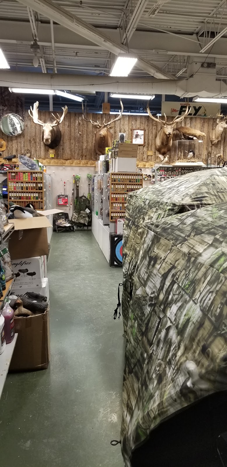 Techniques Chasse & Peche | 3395 Boulevard Taschereau, Saint-Hubert, QC J4T, Canada | Phone: (450) 656-6446