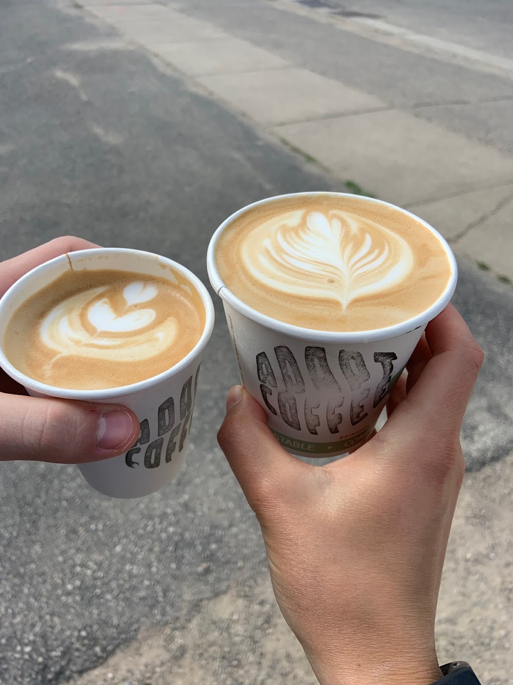 Adapt coffee | 20 Alma St S, Guelph, ON N1H 5W6, Canada | Phone: (519) 215-3765