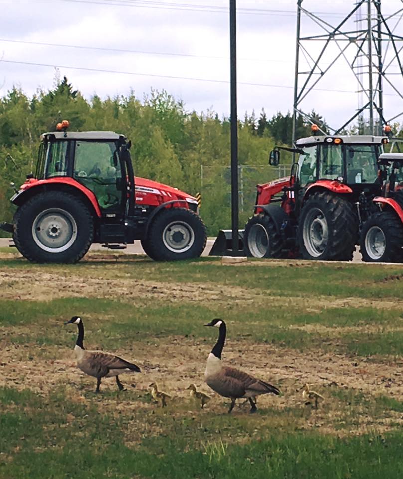 Maple Leaf Tractors and Equipment Inc. | 9 Zack Rd, Berry Mills, NB E1G 0V3, Canada | Phone: (506) 862-7739