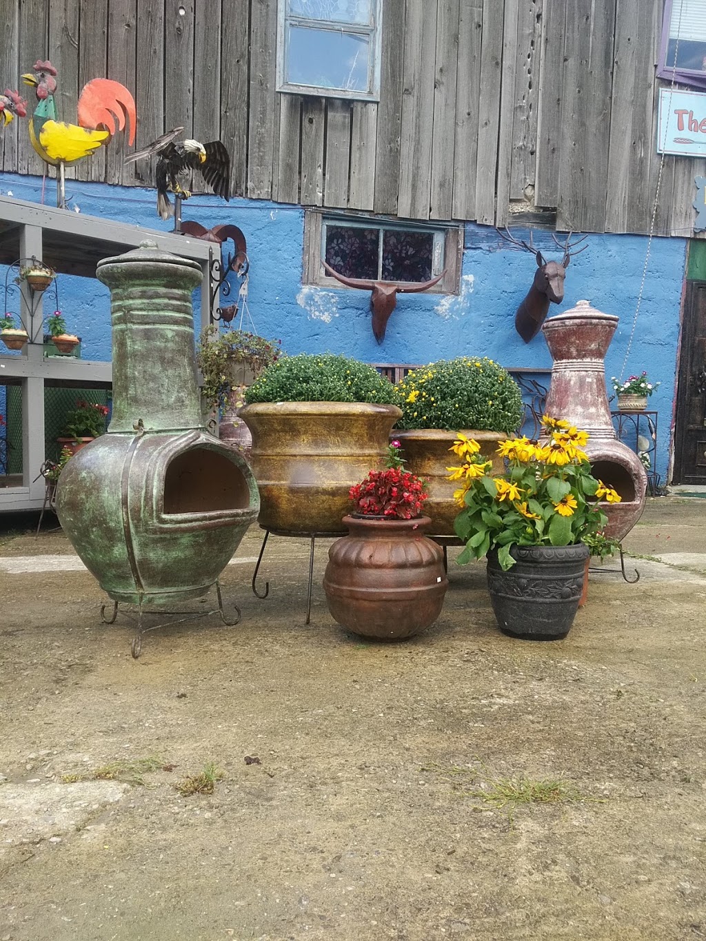 The Radical Rooster Barn Store | 7860 9 Line RR#3, Thornton, ON L0L 2N0, Canada | Phone: (705) 220-9234