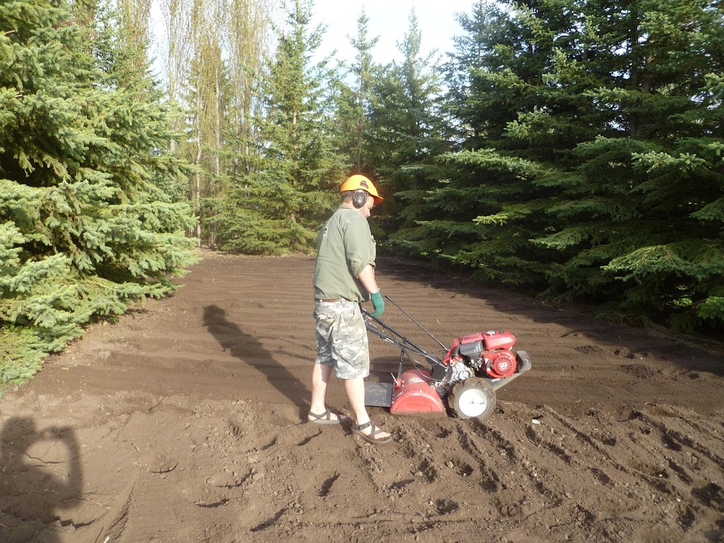 Archer Residential Services Ltd. | Box 62063, R.P.O, Edmonton, AB T5M 4B5, Canada | Phone: (780) 991-4094