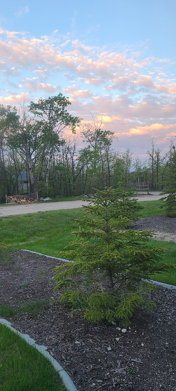 St. Malo Cabins | 110 Lakeshore Dr, Saint Malo, MB R0A 1T0, Canada | Phone: (204) 346-4636