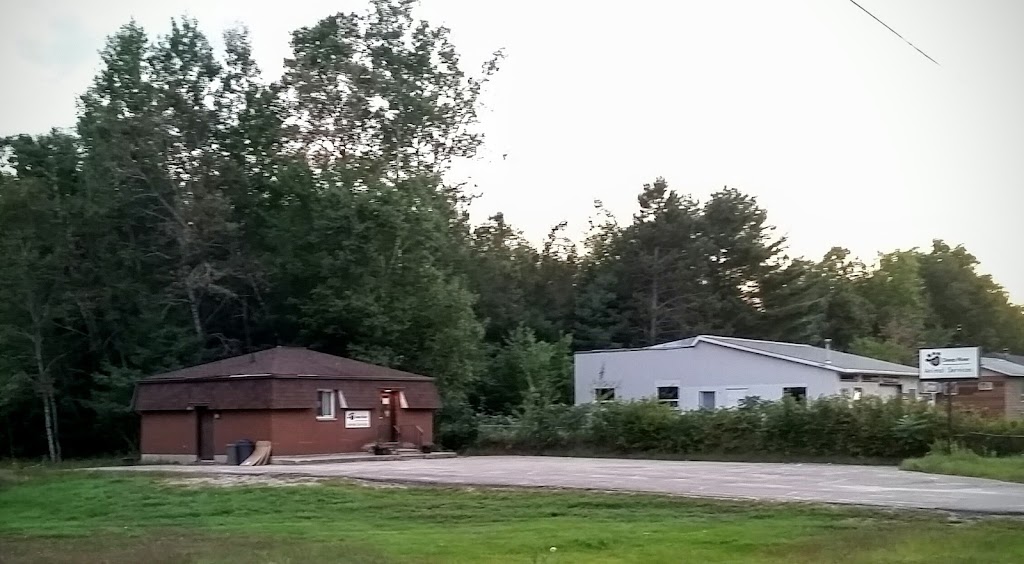 Deep River Animal Services | 33202 ON-17, Deep River, ON K0J 1P0, Canada | Phone: (613) 584-2252
