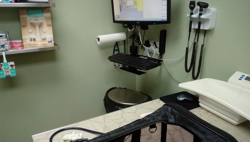 Maritime Animal Hospital (Moncton) | 1755 Main St, Moncton, NB E1E 1H2, Canada | Phone: (506) 389-2121