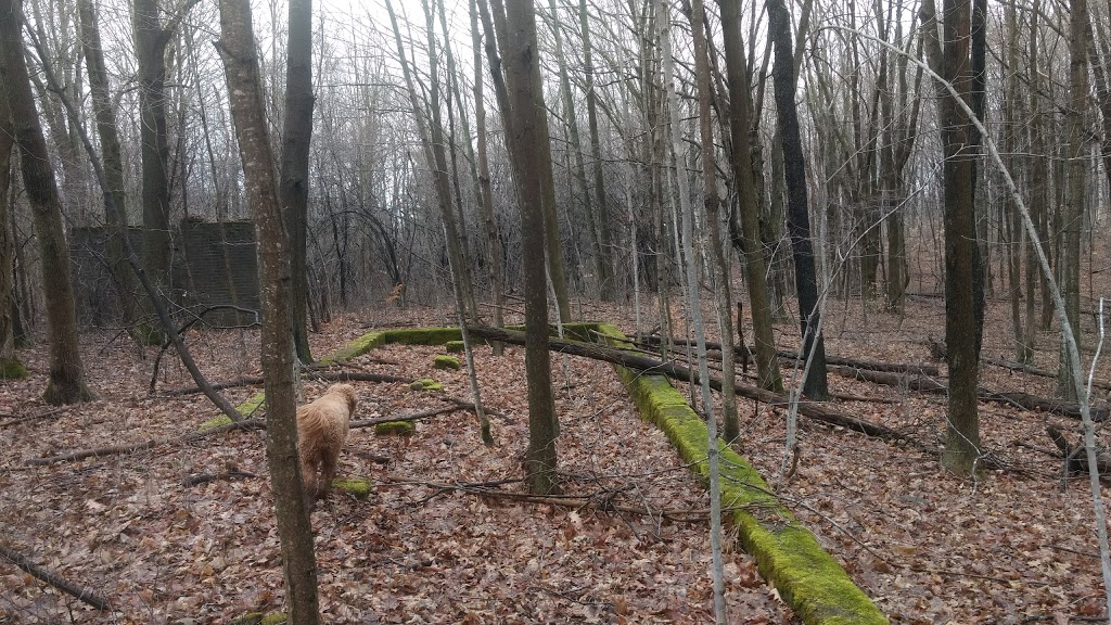 Beaver Meadow Wildlife Management Area | Prince Edward, ON K0K, Canada | Phone: (613) 968-3434