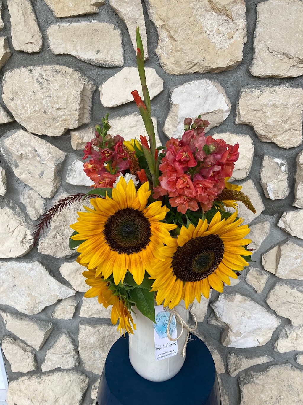 Farmyard Flowers | 1 Railway Ave, Broad Valley, MB R0C 0K0, Canada | Phone: (204) 308-0018