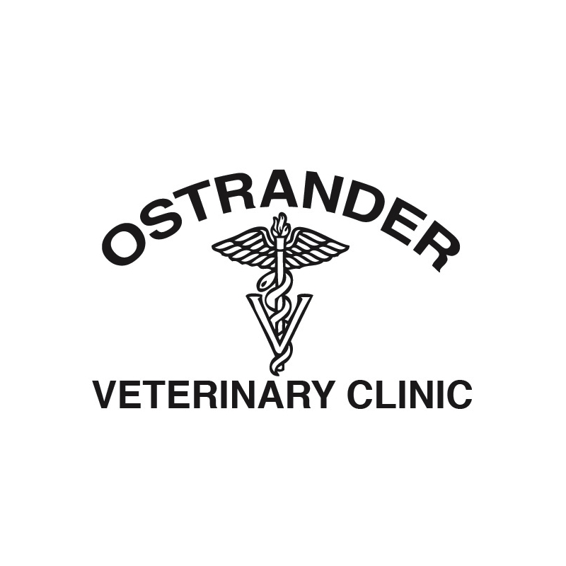 Ostrander Veterinary Clinic | 332810 Plank Line, Mount Elgin, ON N0J 1N0, Canada | Phone: (519) 842-7845