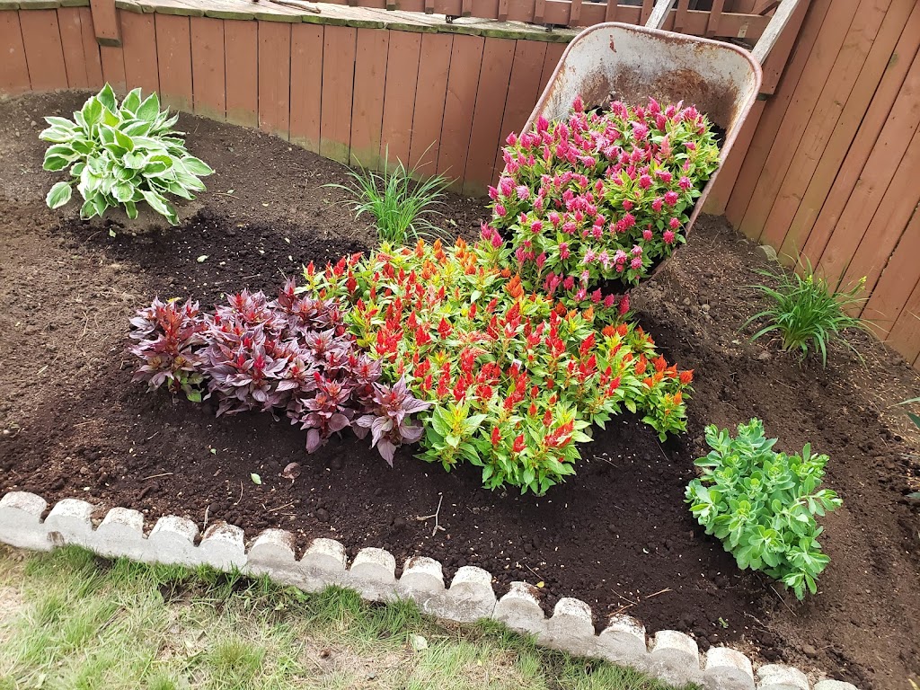 Green World Landscaping ltd | 247 Cairn St, London, ON N5Z 3W6, Canada | Phone: (226) 977-6162