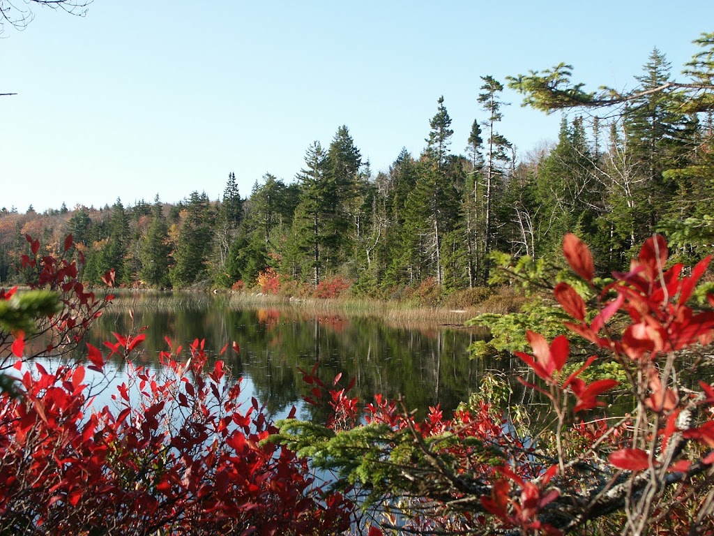 Voyageur Lakes | 129 Appaloosa Run, Hammonds Plains, NS B4B 2A6, Canada | Phone: (902) 431-3200