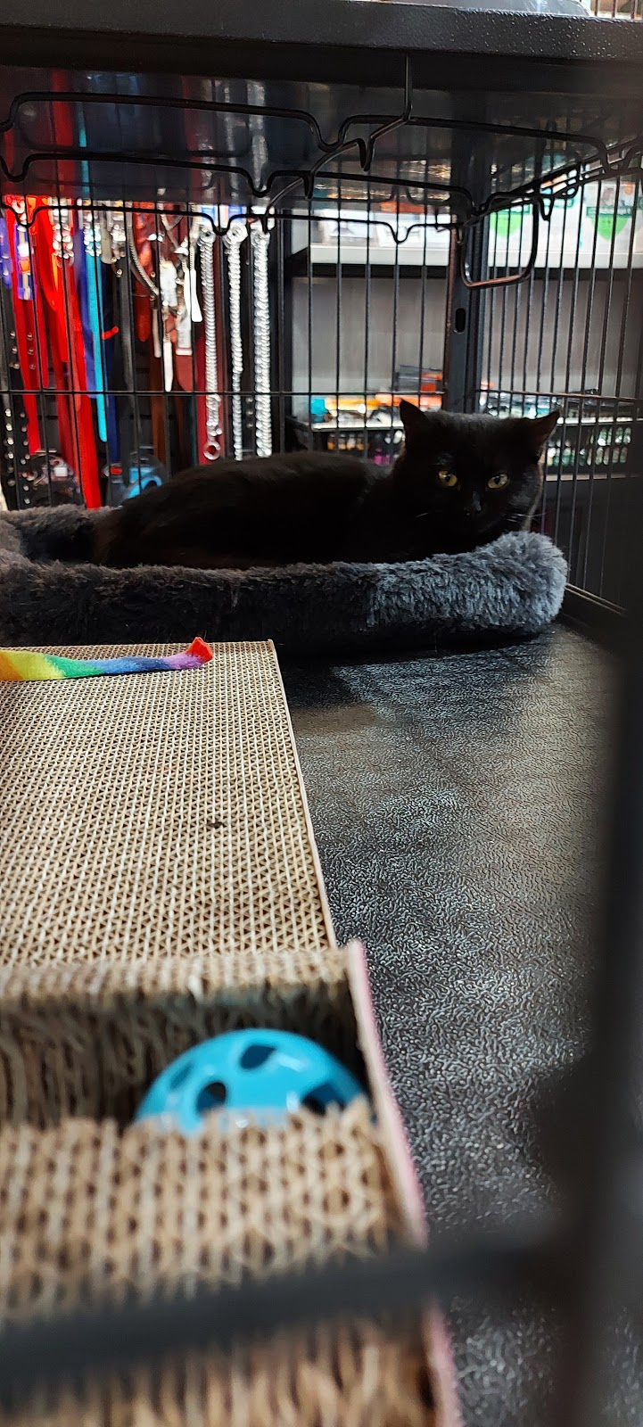 Pet Valu | 4 New, Pinegrove Rd Unit #5, Bridgewater, NS B4V 4H5, Canada | Phone: (902) 527-2104