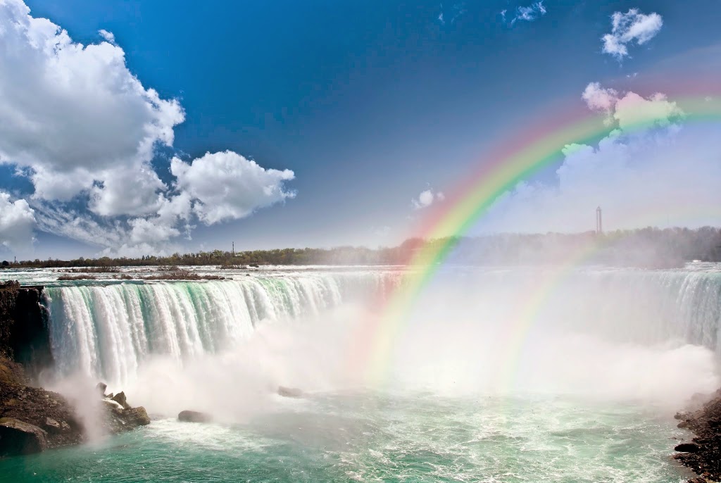 Niagara Air Bus Inc | 8626 Lundys Ln, Niagara Falls, ON L2H 1H4, Canada | Phone: (905) 374-8111