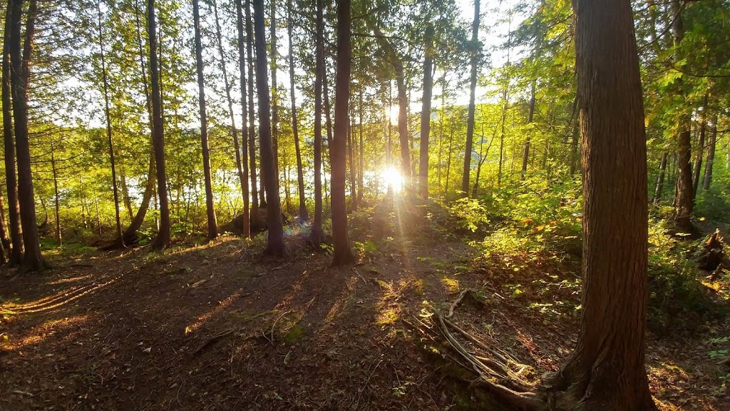 Camping Lac Coping inc. | 3318 Chemin des Lacs, Notre-Dame-de-la-Merci, QC J0T 2A0, Canada | Phone: (819) 424-3736