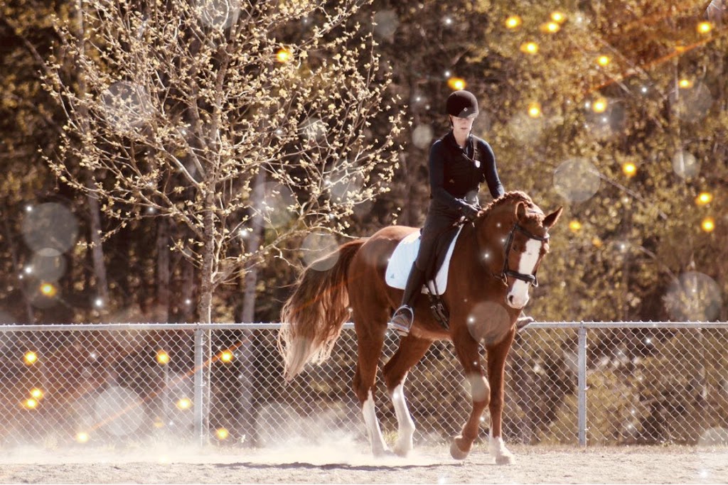 Alpine Stables | 3700 Holland Ave, Cobble Hill, BC V0R 1L3, Canada | Phone: (250) 812-6115