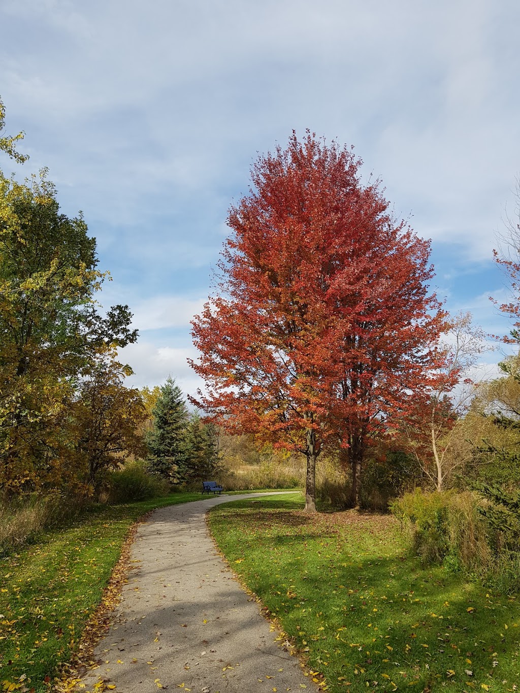 Conservation Drive Park | 26 Conservation Dr, Brampton, ON L6Z 0A2, Canada | Phone: (905) 974-2000
