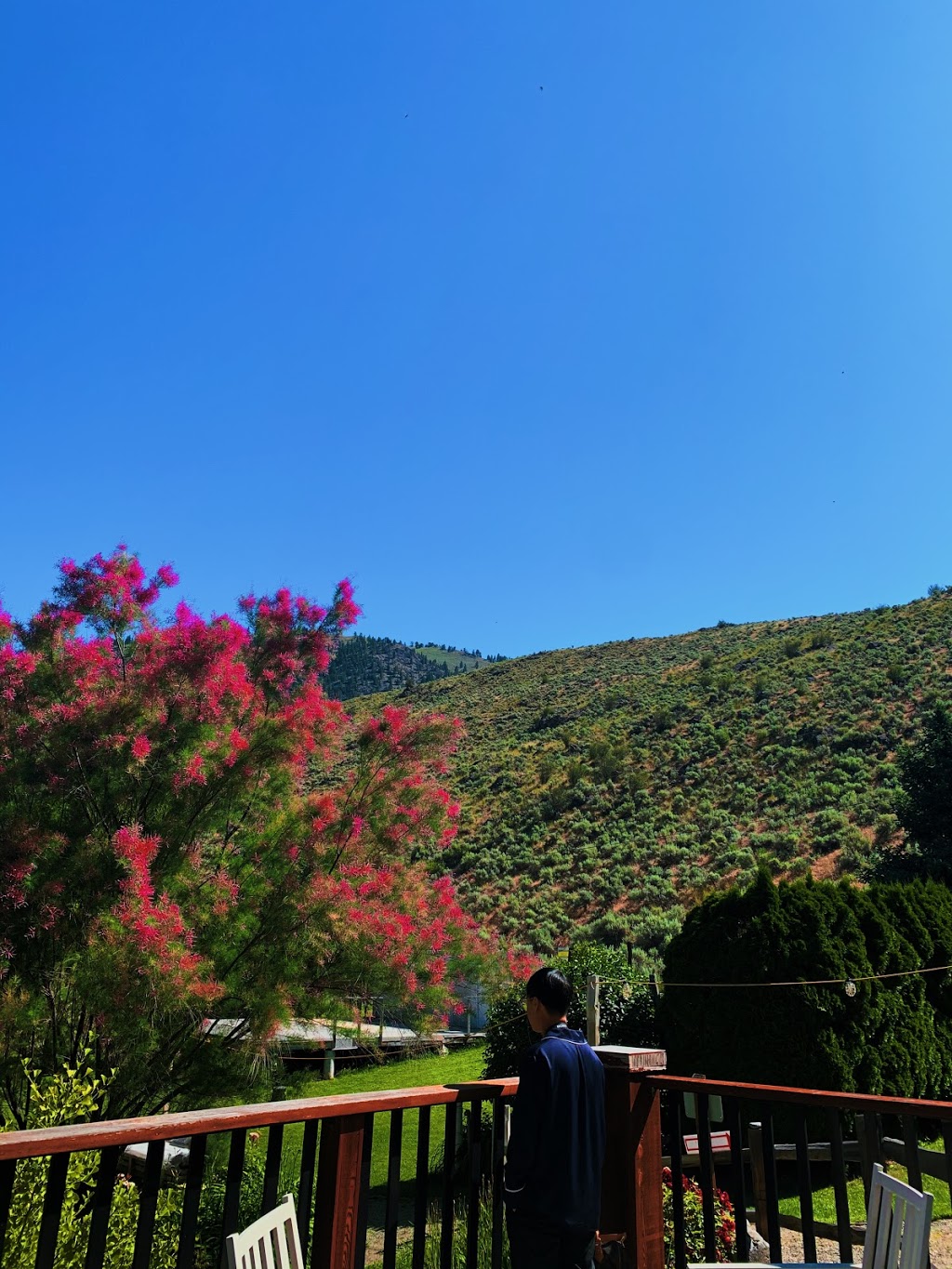 Similkameen WILD Resort Winery and Adventure Centre | 306 Sumac Rd, Cawston, BC V0X 1C3, Canada | Phone: (604) 807-5659