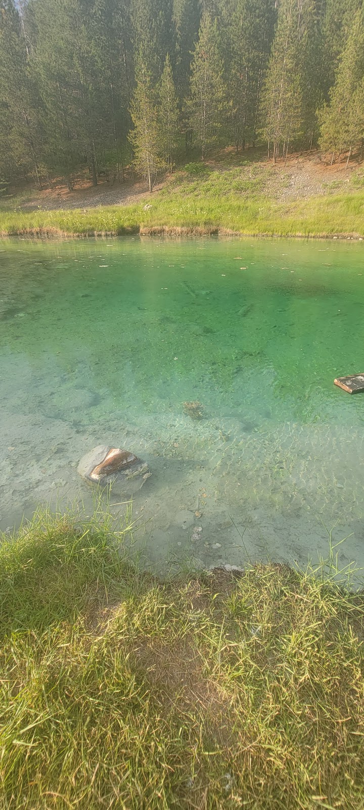 Sulphur Springs | East Kootenay A, BC V0B 1H0, Canada | Phone: (250) 865-4015