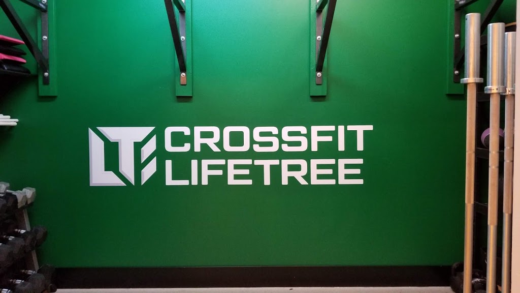 CrossFit LifeTree | 6021 W Saanich Rd, Victoria, BC V9E 2G8, Canada | Phone: (250) 704-6678