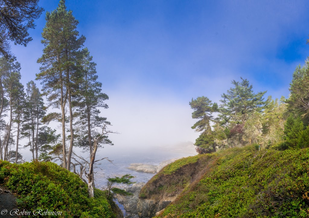 Beechey Head | Sooke, BC V9Z 1B7, Canada