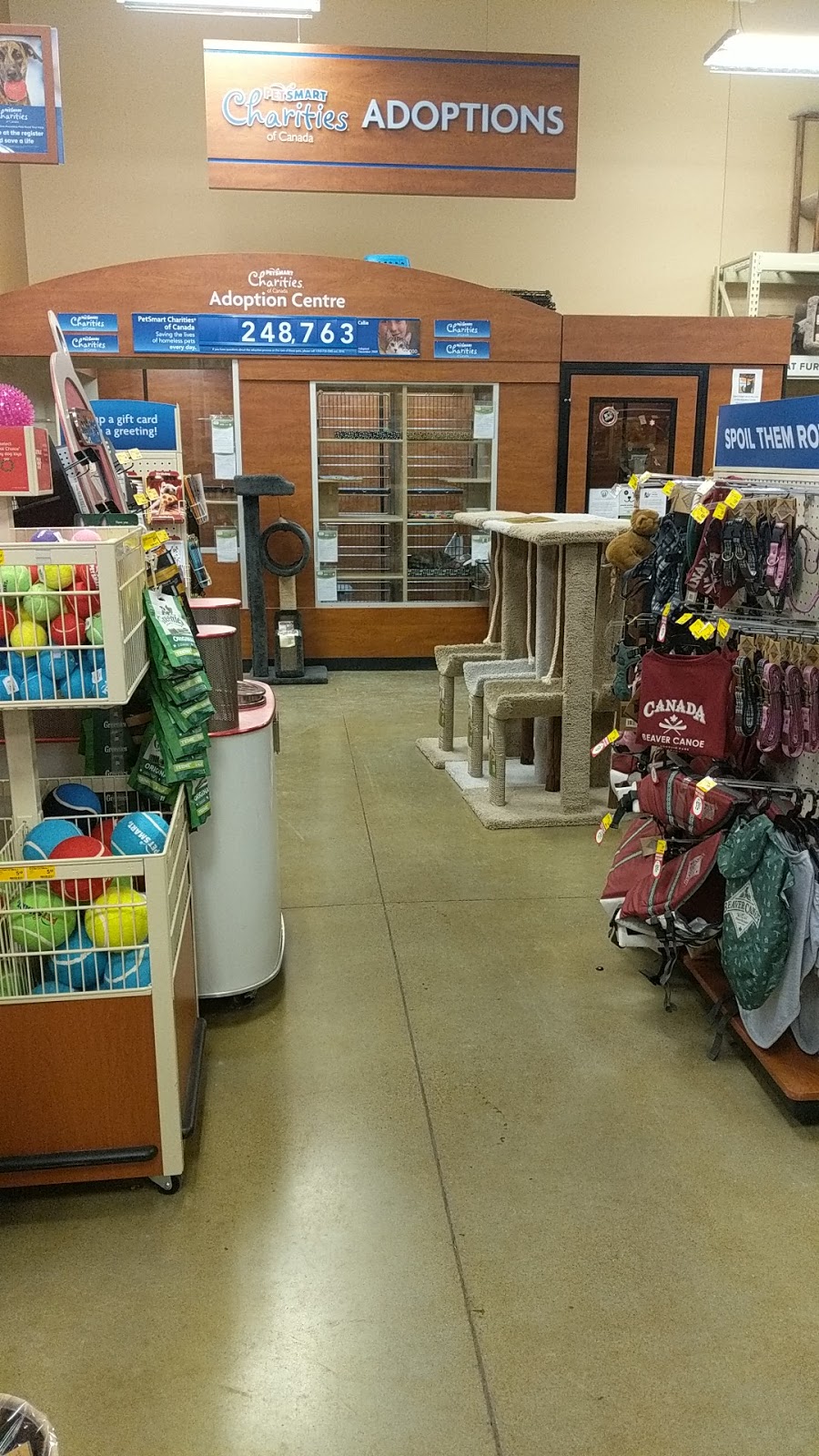 PetSmart | 2311 Appleby Line Unit 2, Burlington, ON L7L 0J3, Canada | Phone: (905) 332-7246