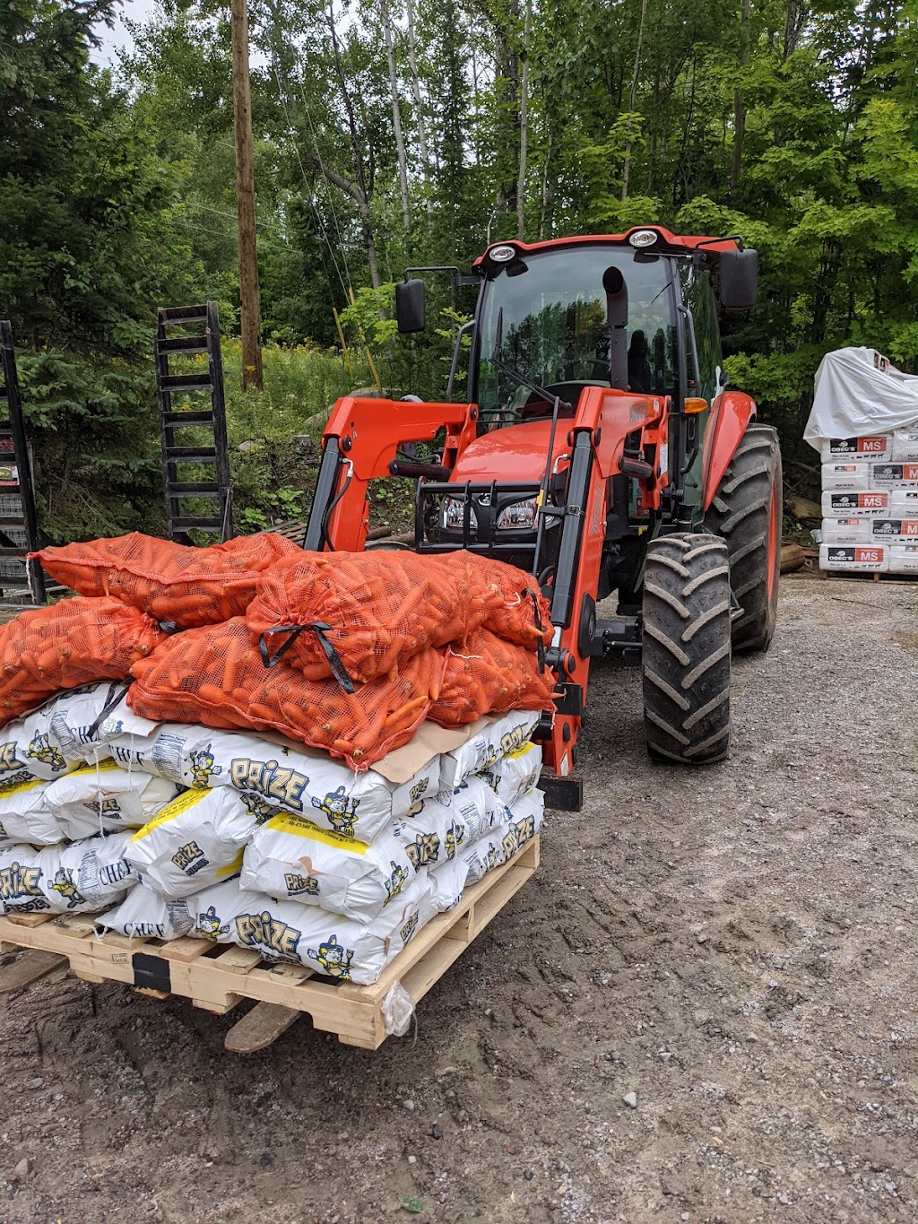 Haliburton Feed & Seed | 138 Mallard Rd, Dysart et al, ON K0M 1S0, Canada | Phone: (705) 306-9563