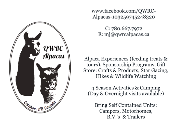 QWRC Alpacas | 54502 SH 779, Calahoo, AB T8R 2B2, Canada | Phone: (780) 667-7972