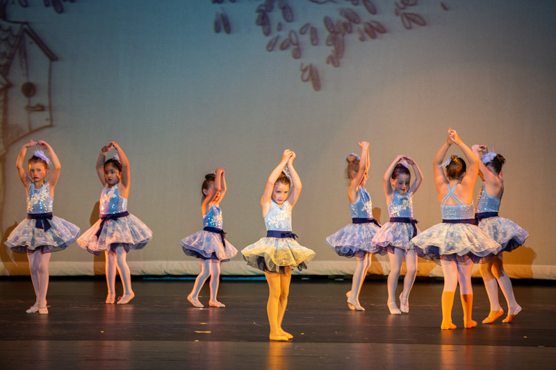 Day-to-Day Dance | 1733 H St STE 410, Blaine, WA 98230, USA | Phone: (360) 920-2964