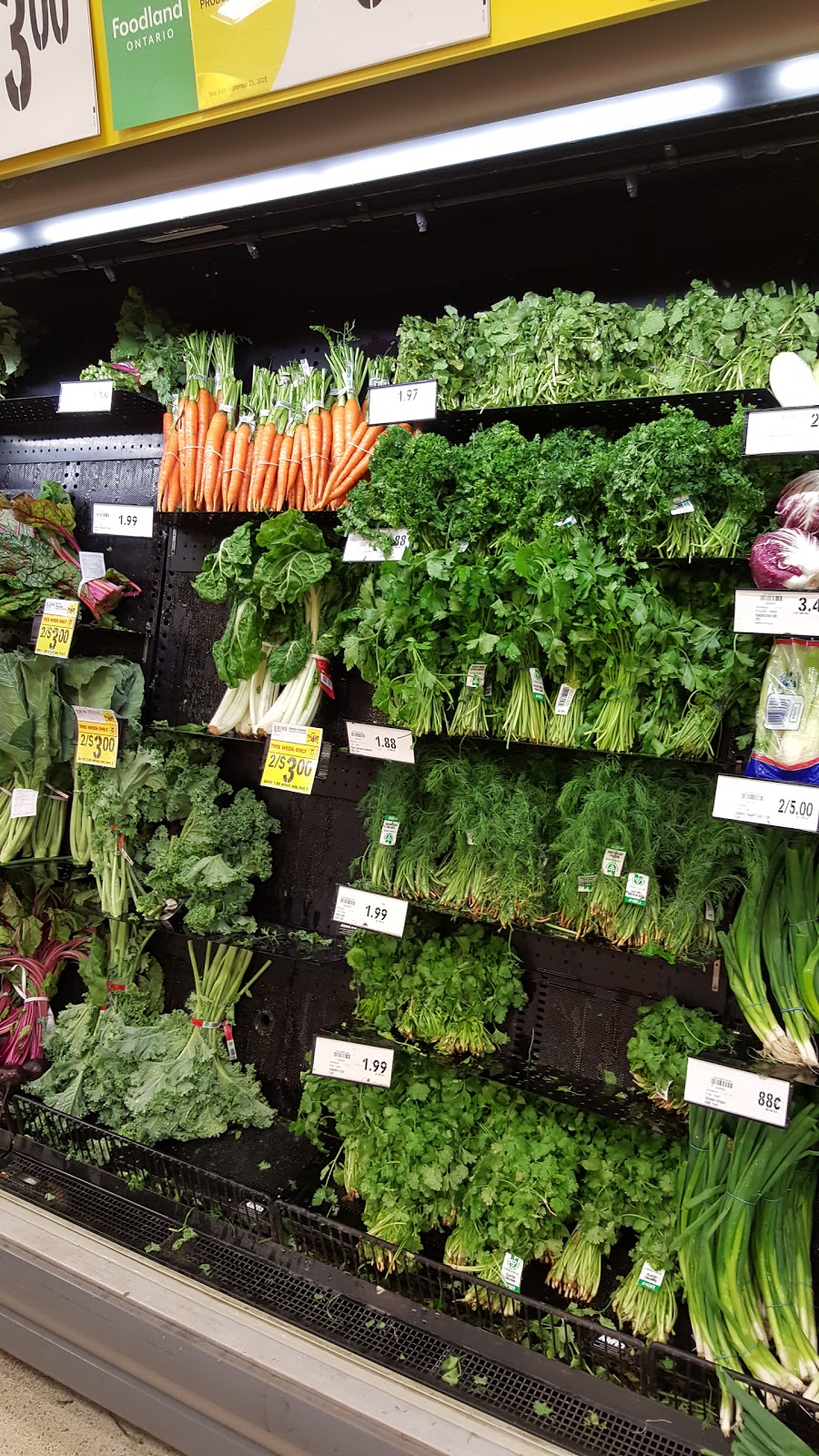 Food Basics | 845 King St W, Hamilton, ON L8S 1K4, Canada | Phone: (905) 523-5044