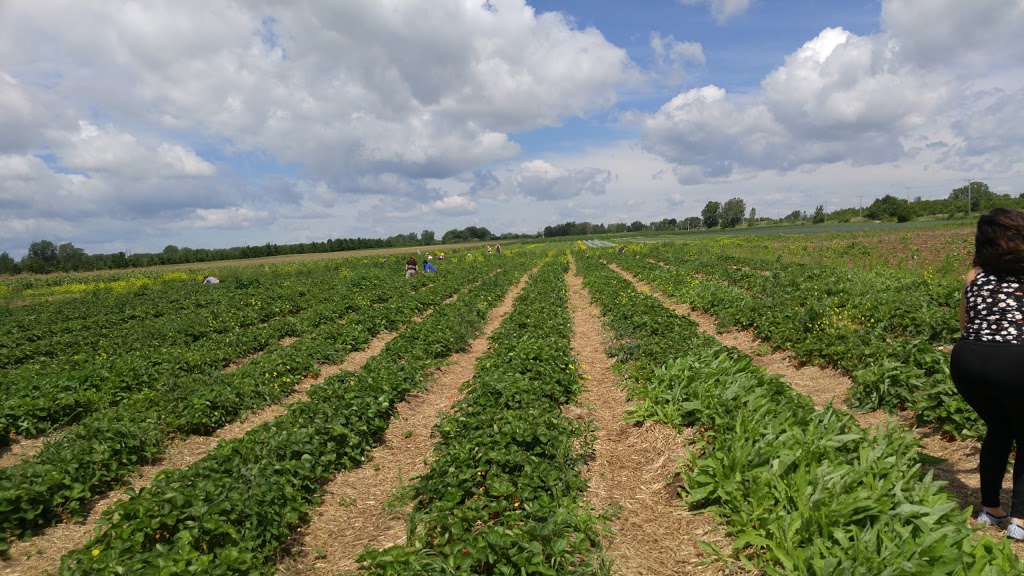 Sylvain Lapointe | 1605 Montée Saint-François, Laval, QC H7C 2S8, Canada | Phone: (450) 664-1123