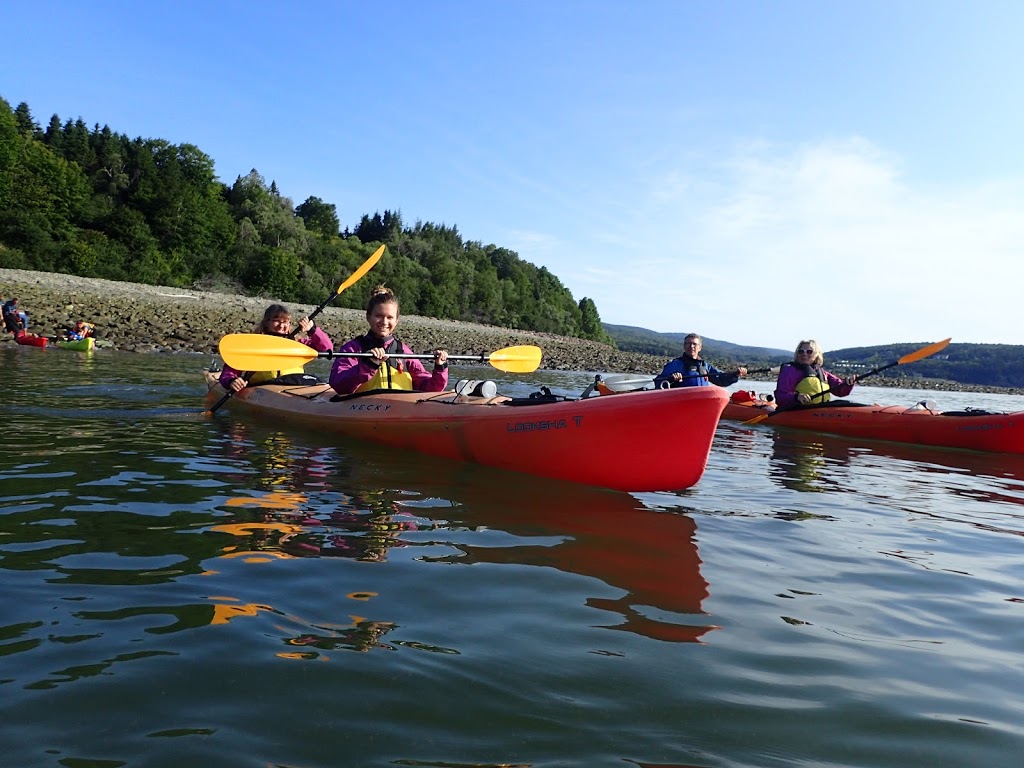 Kayak Fundy | FreshAir Adventure | 16 Fundy View Dr, Alma, NB E4H 1H6, Canada | Phone: (506) 887-2249