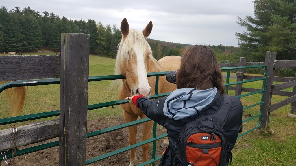Parkside Ranch Inc | 1505 Chemin Alfred-Desrochers, Orford, QC J1X 6J4, Canada | Phone: (819) 868-0431