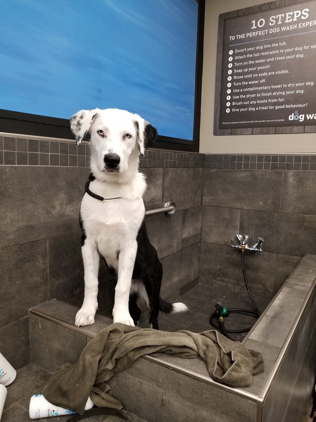 Bosleys by Pet Valu | 2828 E Hastings St Unit 101, Vancouver, BC V5K 5C5, Canada | Phone: (604) 251-3917