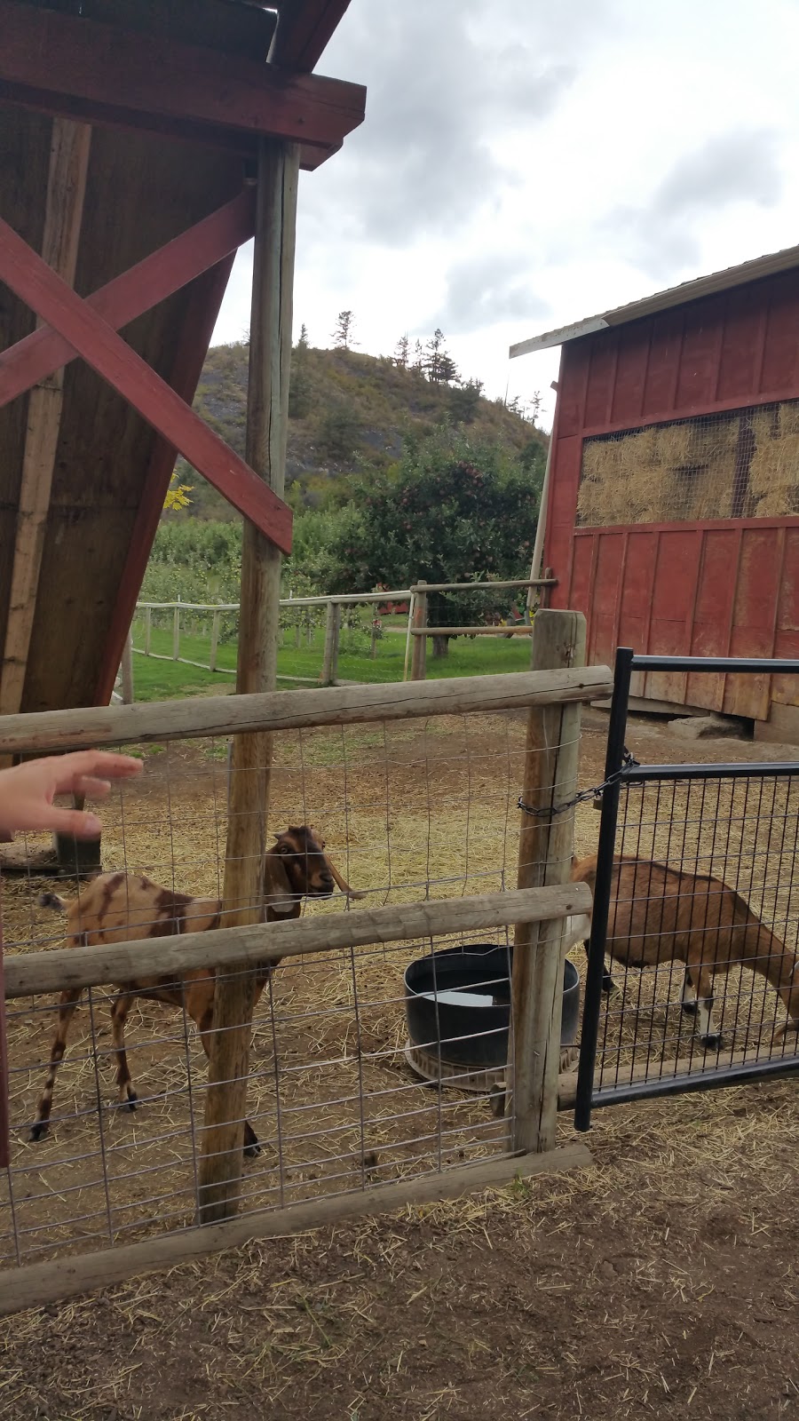 Bella Vista Farm Market | 5011 Bella Vista Rd, Vernon, BC V1H 1A1, Canada | Phone: (250) 545-0105